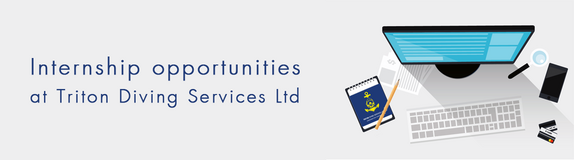 Internship opportunities in marketing field