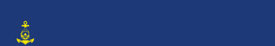 Triton Diving Services ltd logo